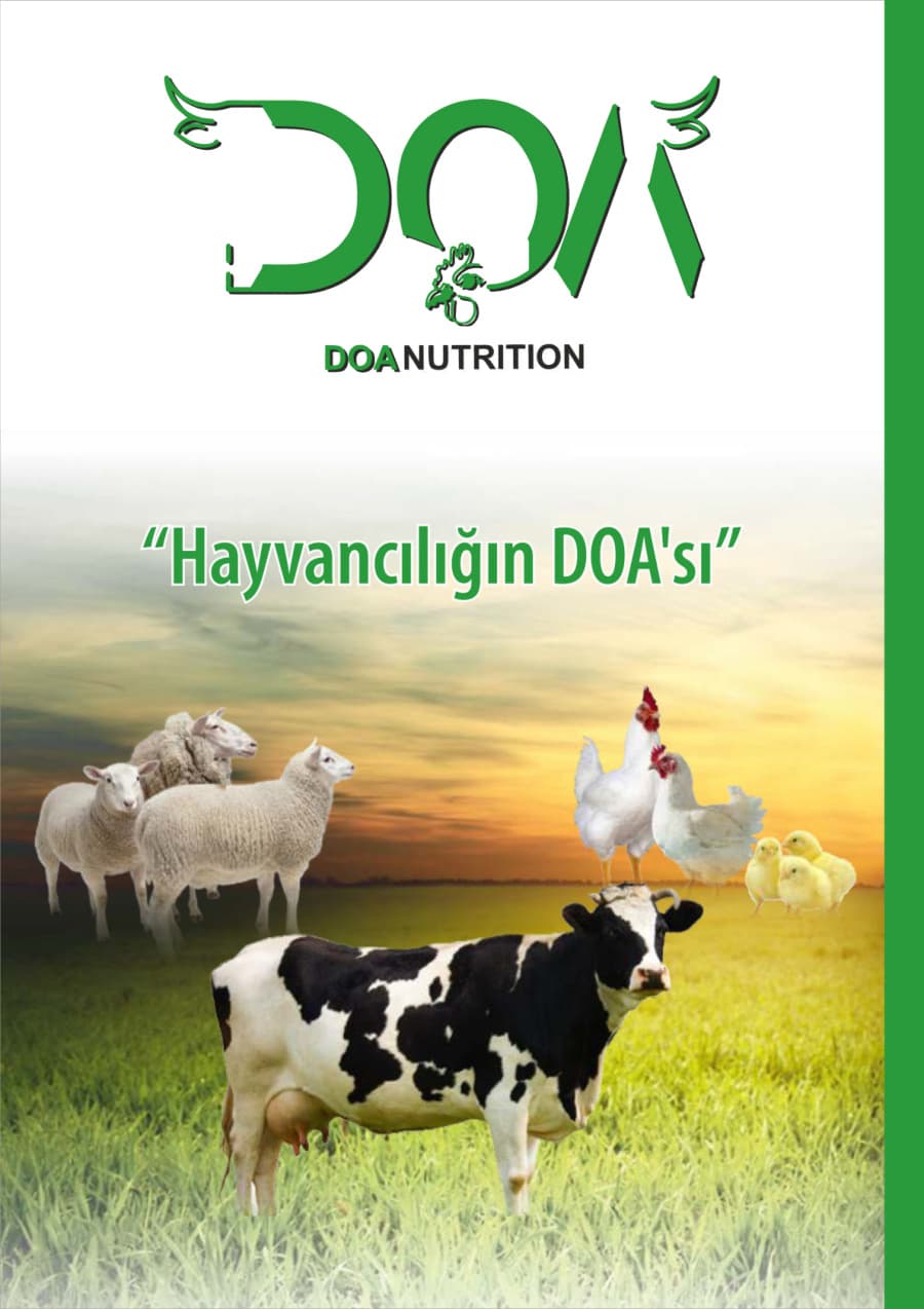 DOA Nutrition ürün kataloğu kapağı — Rusça